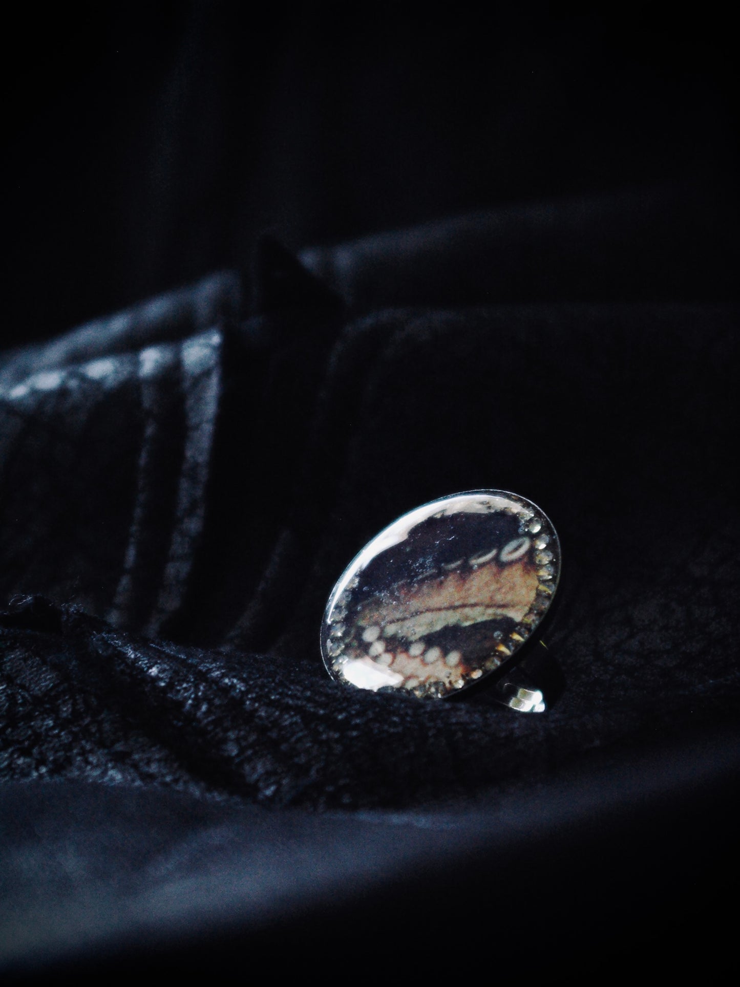 Tentacle Ring Side